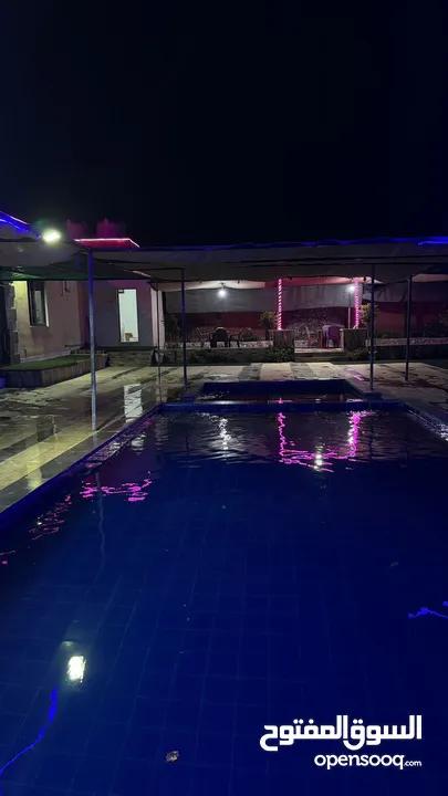 مزرعة وشاليه الباشا