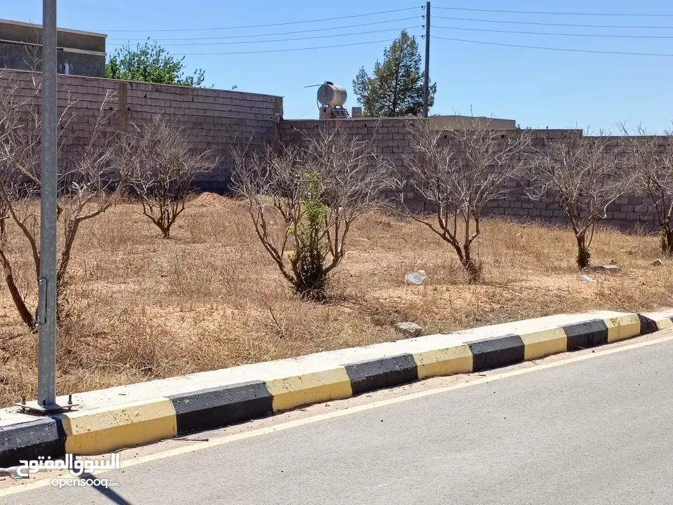 قطعه ارض للبيع 350متر الباعيش بالقرب من مسجد السلام