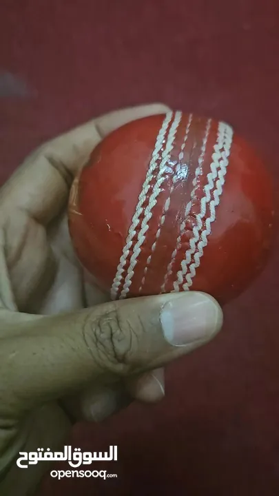 cricket balls