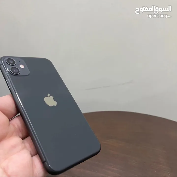 ايفون 11 العادي