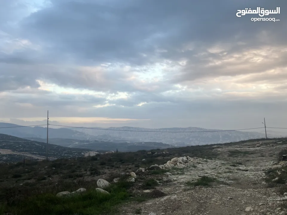 ارض اجنسنيا طابو