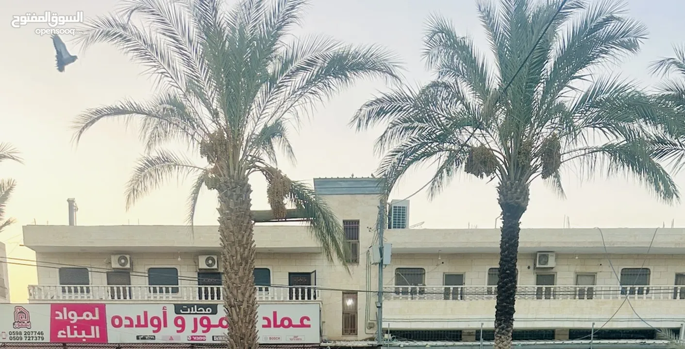 شقتين للبيع مساحة كل شقة 200 متر مدخلهم مستقل ع شارع القدس الرئيسي مقابل مول اريحا وسبيتاني