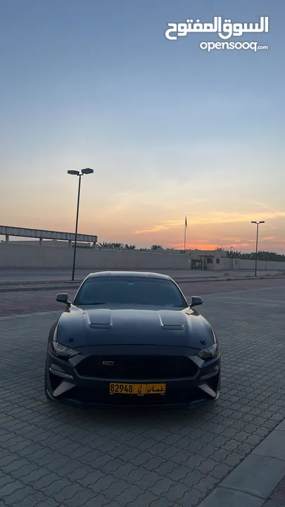 Ford mustang 2019 Ecoboost Roush filter  320 horsepower  110km