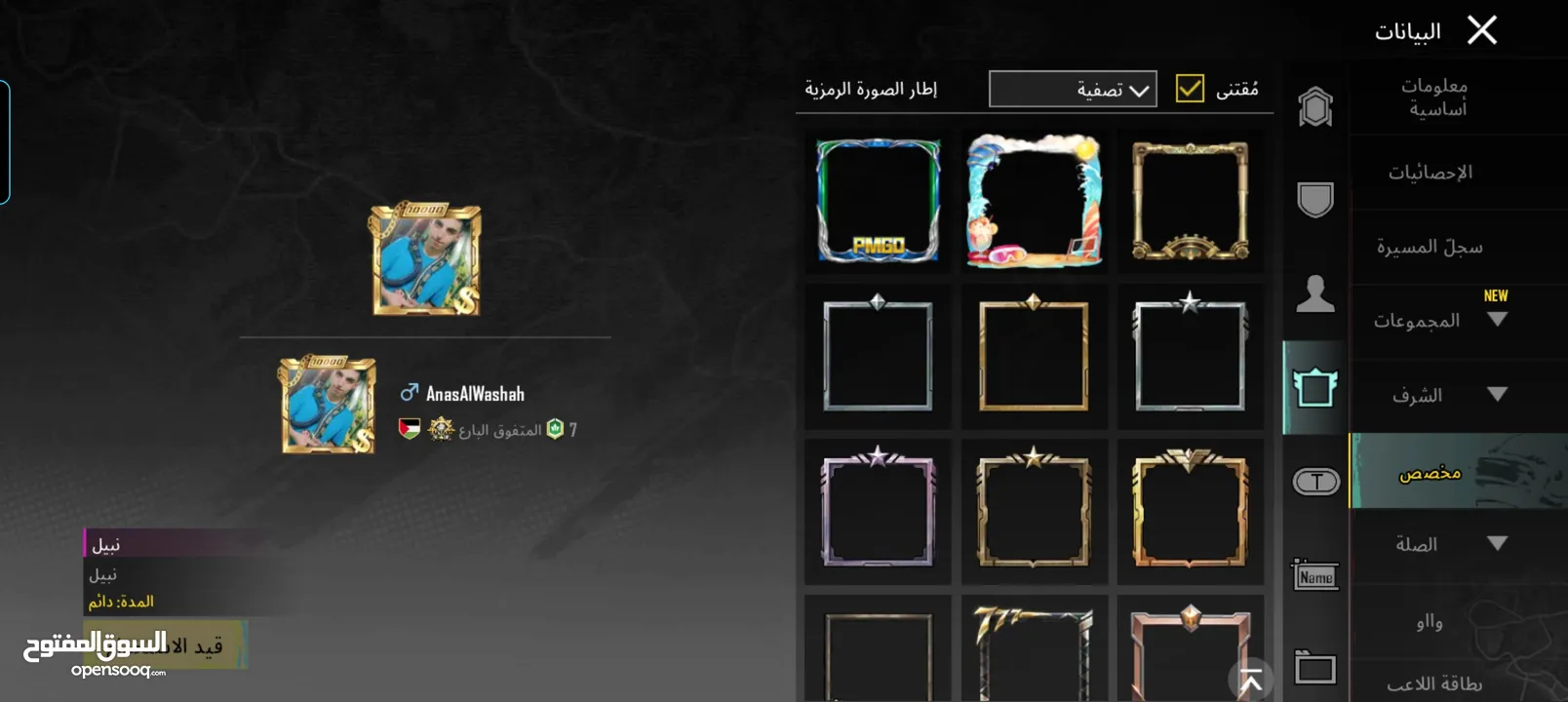 حساب ببجي للبيع 13