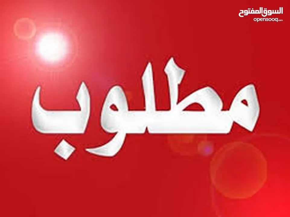 مطلوب شقه للايجار