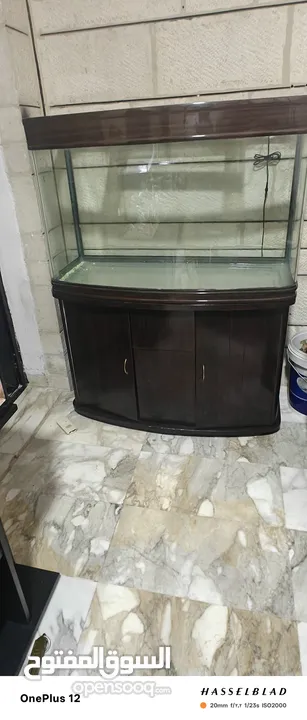 متاح تشكيلة احواض سمك اجنبيه