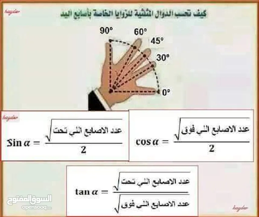 معلم رياضيات مصرى(جامعة وثانوى)
