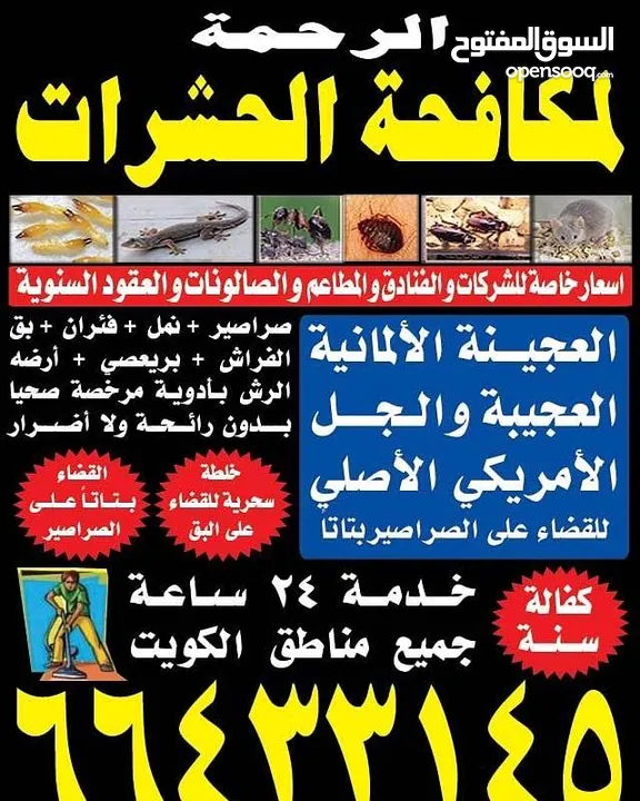 شركة الرحمة لمكافحة الحشرات والقوارض جميع مناطق الكويت خدمة 24 ساعة علي مدار اليوم