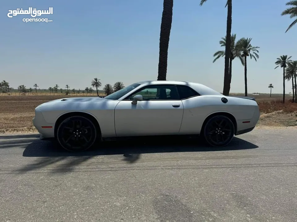 جالنجر 2022 SXT