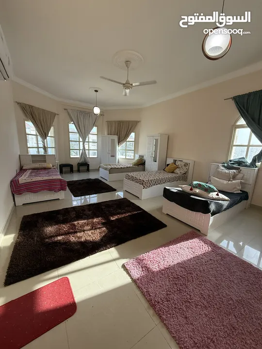 بدون عموله افخم سكن مشترك بنات وشباب في عجمان المويهات و الروضة شامل جميع الخدمات فرش جديد اول ساكن