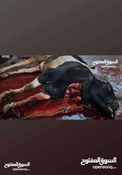 لحام متنقل لجميع المنازل