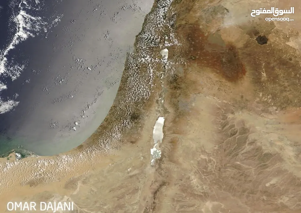 مطلوب ممول للمشاركة بارباح توزع شهريا.