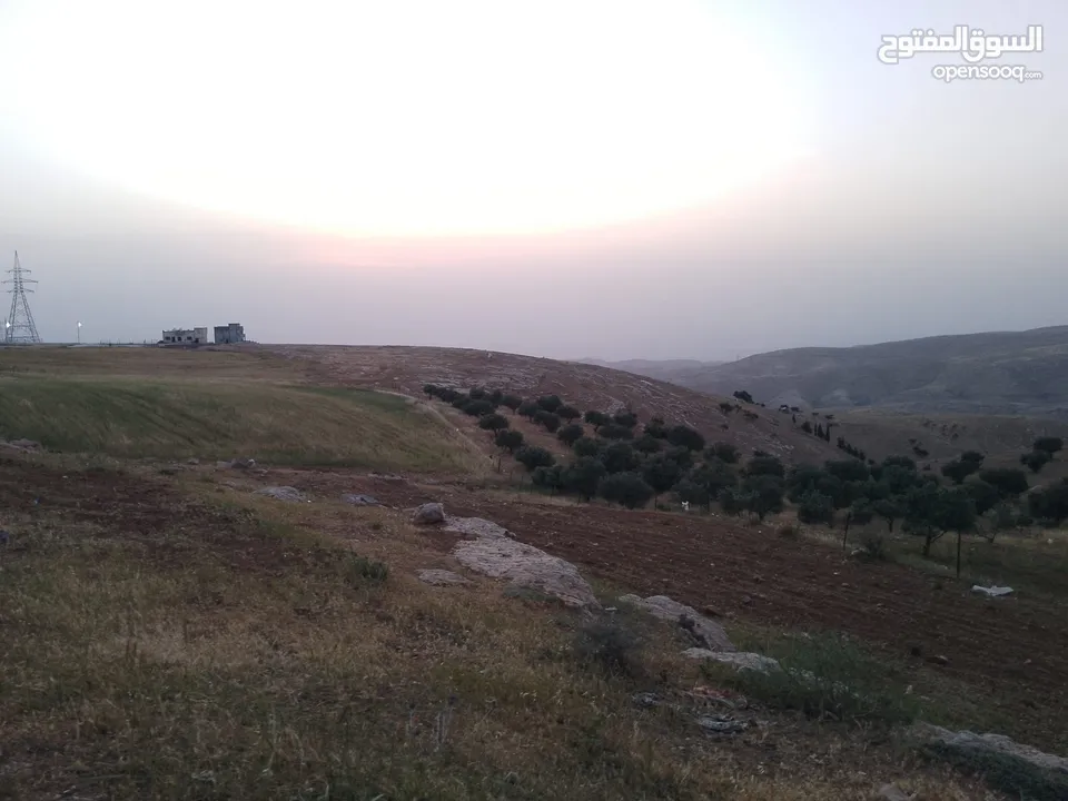 مادبا ماعين المشرفة قطعة ارض زراعية مميزة واصل الخدمات ذات اطلالة على البحر الميت واصل الخدمات