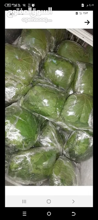 طبخات بيتية بايدي ماهرة مجموعة كبيرة من الحلويات الباردة والسخنة