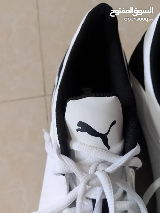 حذاء .Puma  اصلي بحال الوكاله لساته جديد وارد أروبي  الواحد ب 35