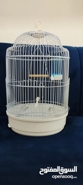 BIRD CAGE On SALE