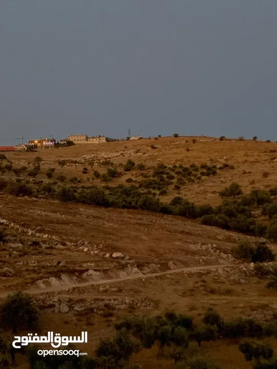 قطعتين ارض للبيع في منطقة نادرة