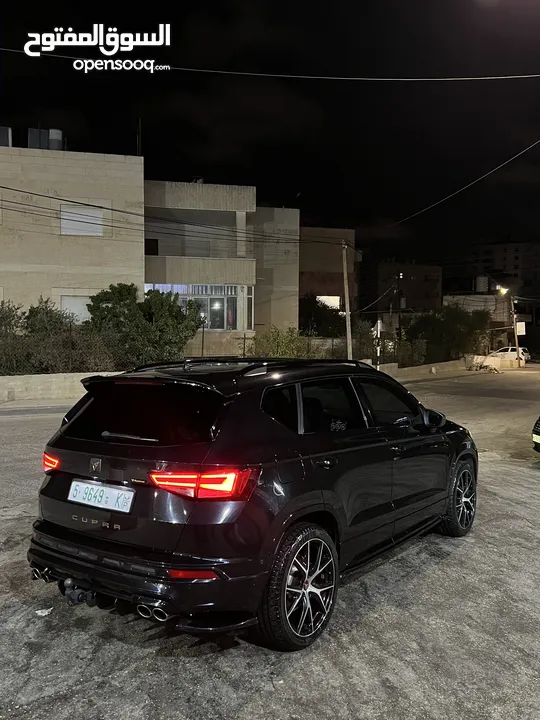 كوبرا اتيكا 2019