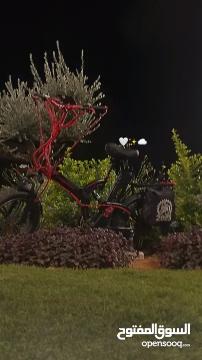 بسكليت كهرباء للبيع