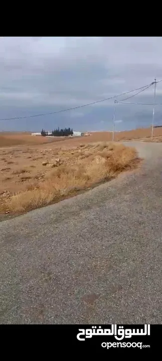ارض  زويزا داخل التنظيم سكن ج للبيع