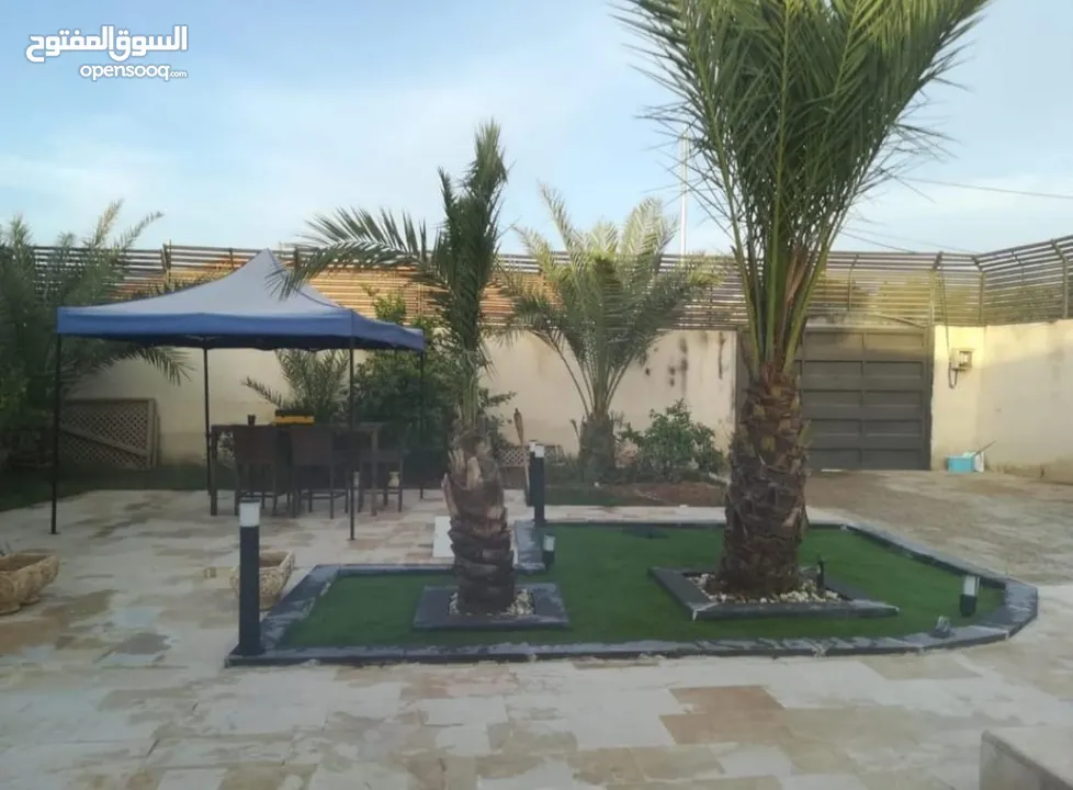 مزرعة للبيع الغور
