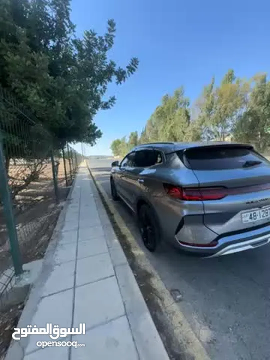 بي واي دي شامبيون بلص اعلى صنف 2024