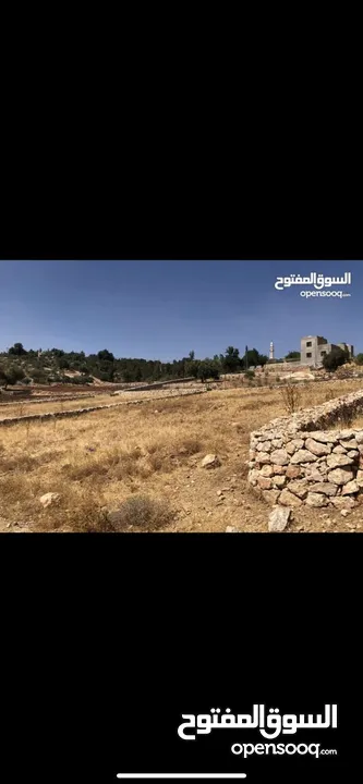 دنم ارض للبيع في السلط الصبيحي ميسره بالقرب من مطعم الطلع الغربيه