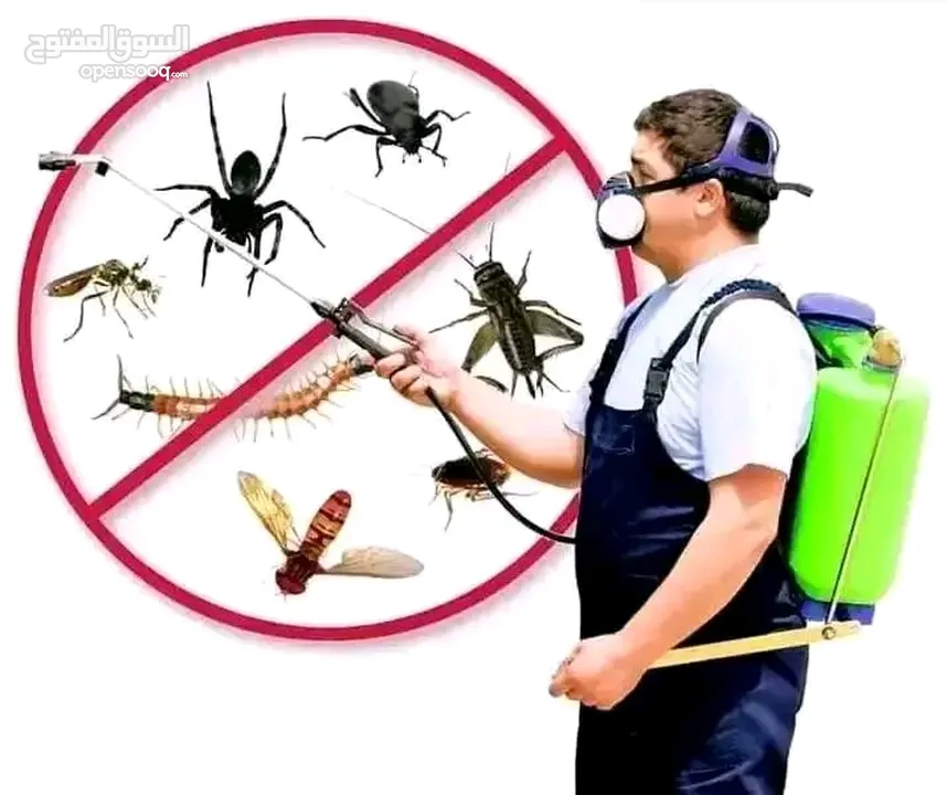 رش المبيدات الحشرية لأزالة القوارص والحشرات