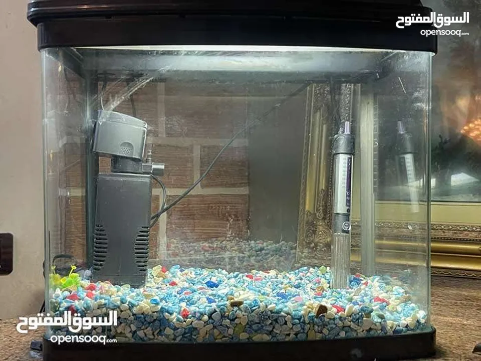 حوض سمك مع فلتر واضاءه لون ابيض