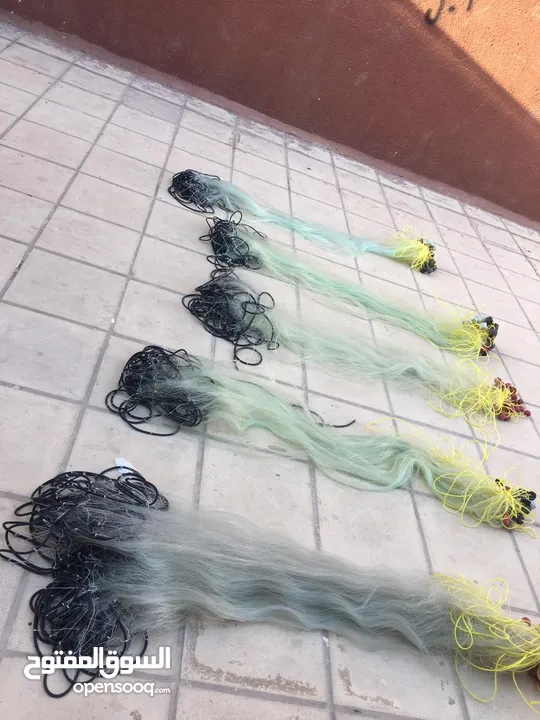 شبكة وسنارة