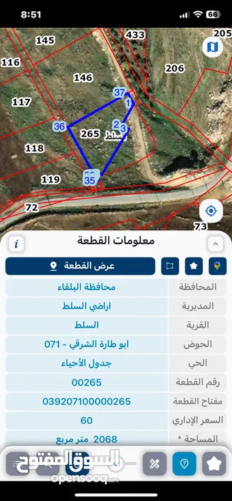 السرو الحنوبي ابوطاره