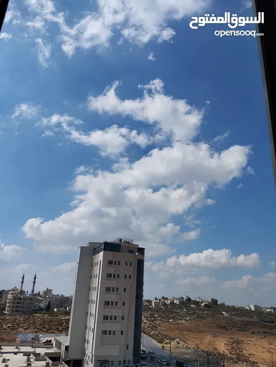 روف بسردا بسعر مرتب
