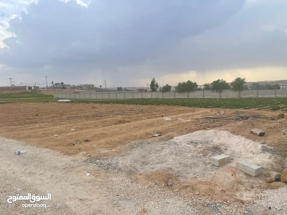 ارض زراعية في بلعما للبيع مساحتها 3500 متر