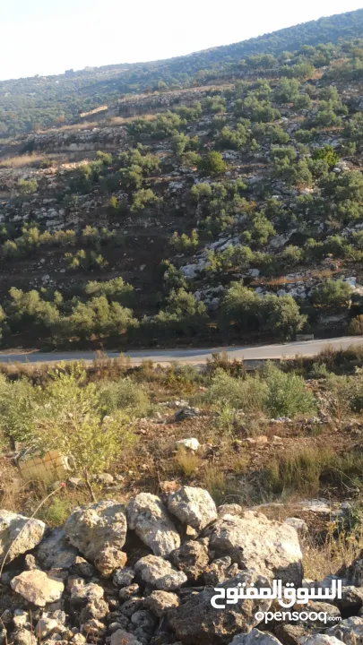 القبة الذهبية اراضي بلعا دير الغصون