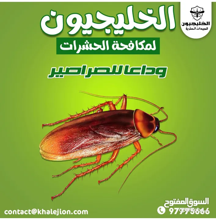 الخليجيون مكافحه حشرات وقوارض