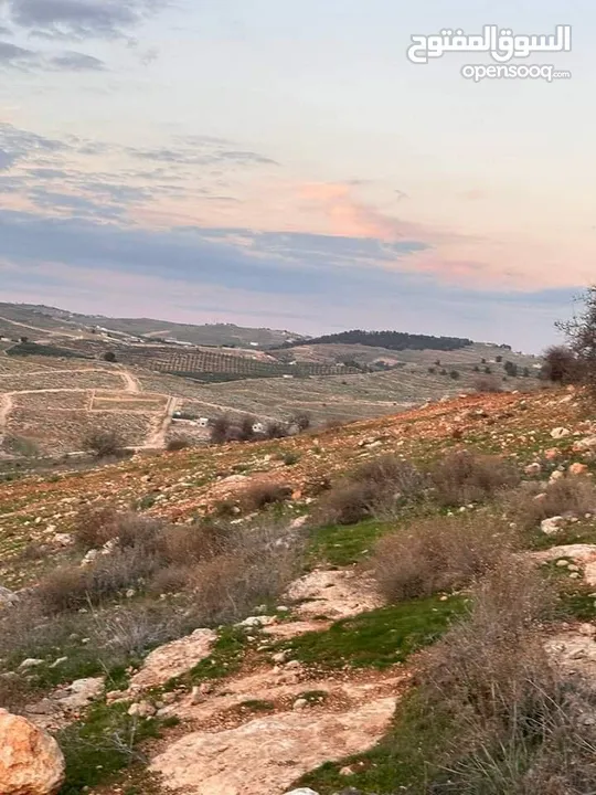 اعلى قمه كاشفه ع الغرب جرش جبال دحل