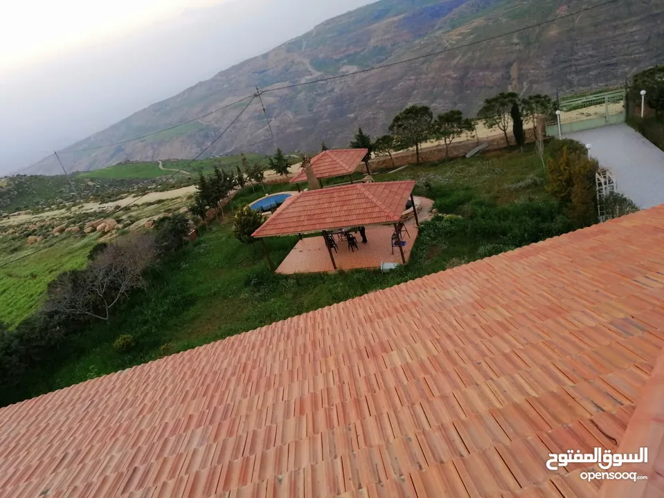 مزرعة مميزة ناعور المشقر