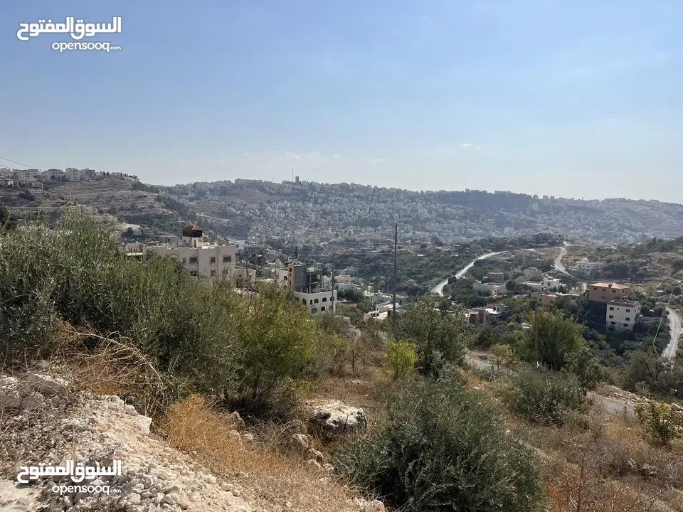 (1)ارض للبيع في الرباحية الجنوبية بمساحة 599 متر منطقة جديدة و هادئة جداً فلل جديدة