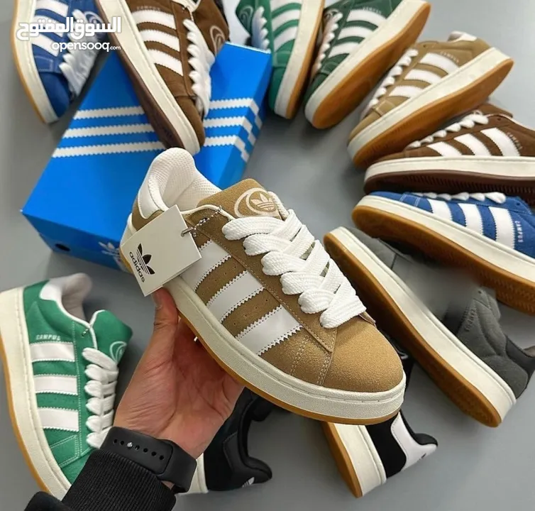 Adidas Campus (All sizes and All colours)