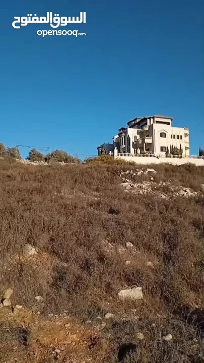 ارض للبيع بمنطقة سردا  تصنيف طابو