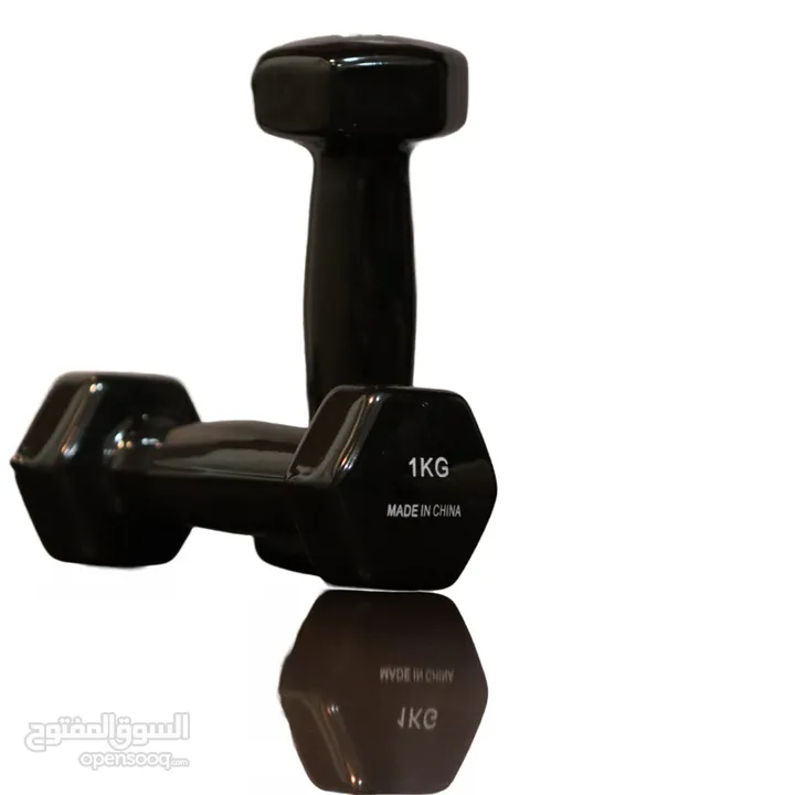 Exercise & Fitness Dumbbells ( 1 Pair )