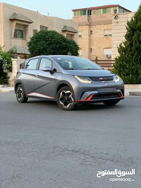 byd dolphin fashion 2022