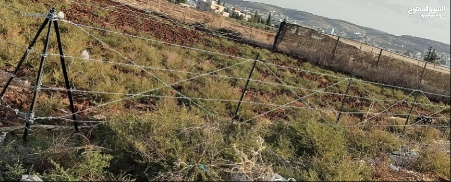 الظاهر لتسييج و تشيييك الاراضي الزراعية و التجارية