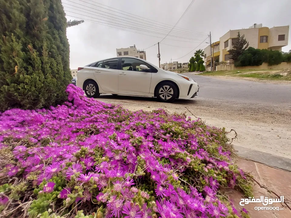 تيوتا بريوس 2019