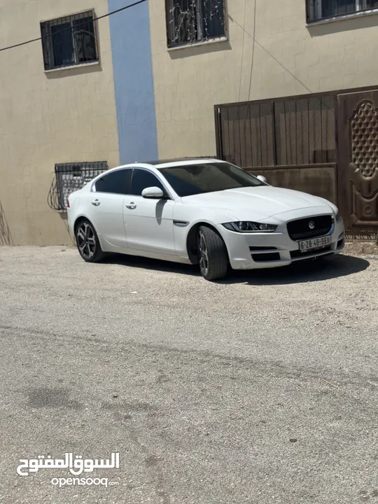 وعد محمد خليل حماد