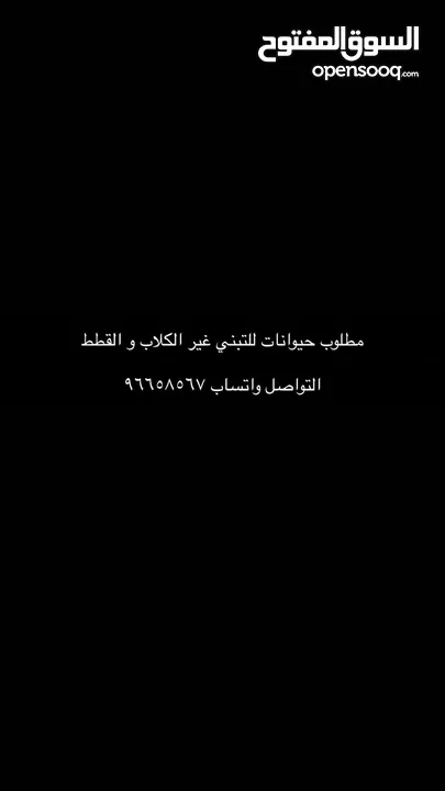 مطلوب حيوانات للتبني غير القطط و الكلاب