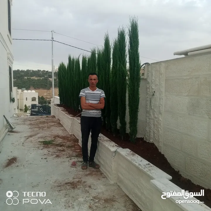 شجرنا انتاجنا
