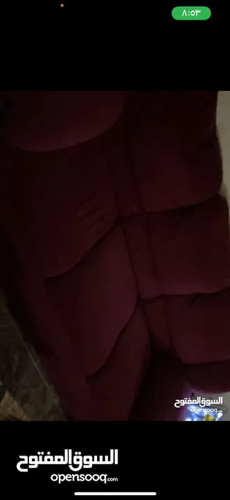 طقم كنب دب