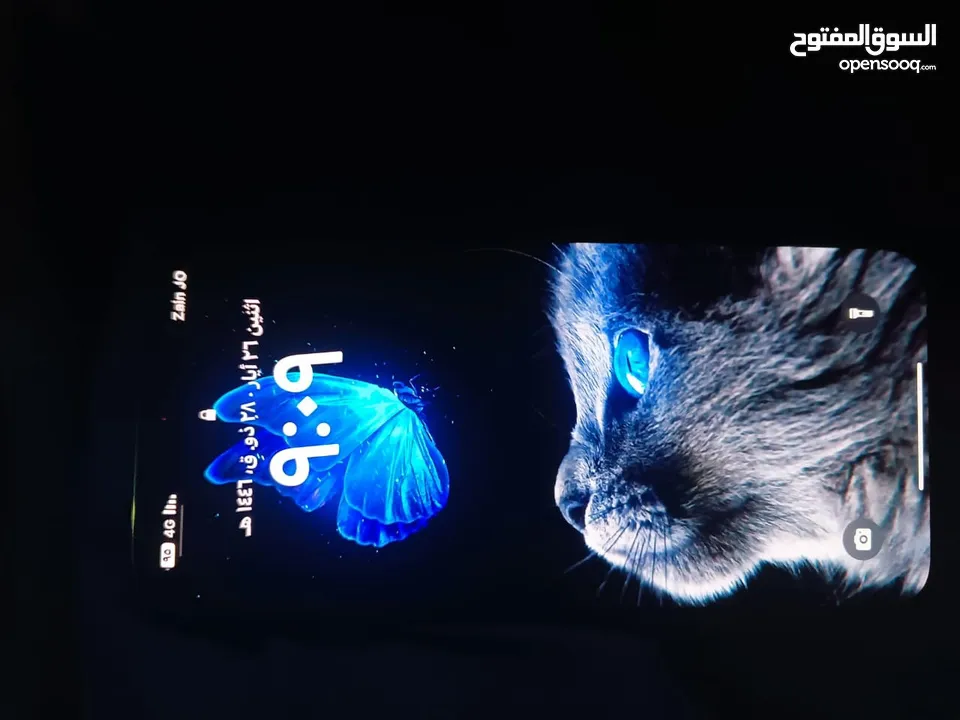iPhone 13 Pro Max 256