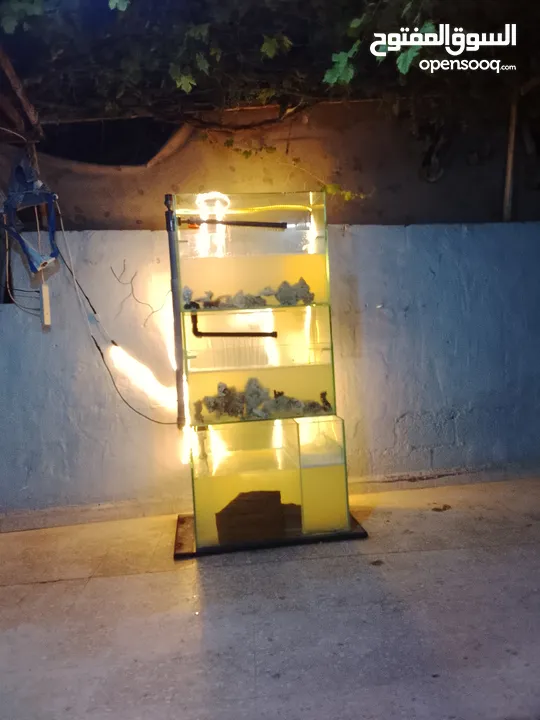حوض سمك مع كامل معدادو